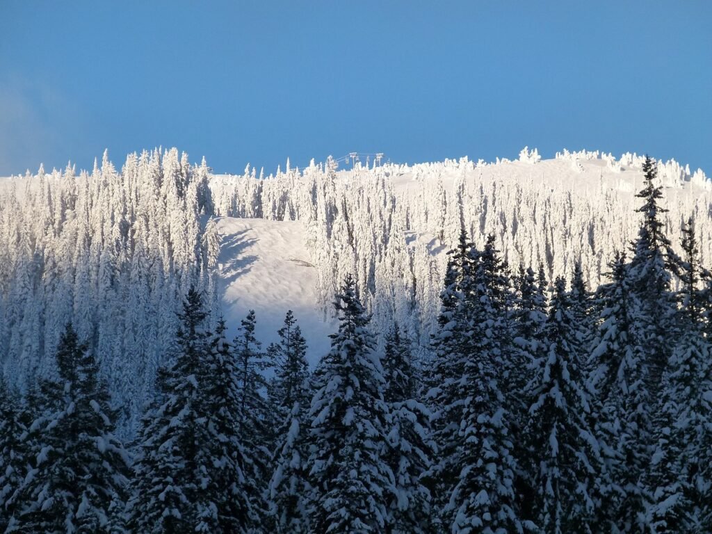 sun peaks, ski hill, resort-76265.jpg